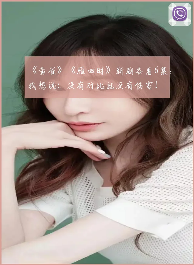 《黄雀》《雁回时》新剧各看6集，我想说：没有对比就没有伤害！