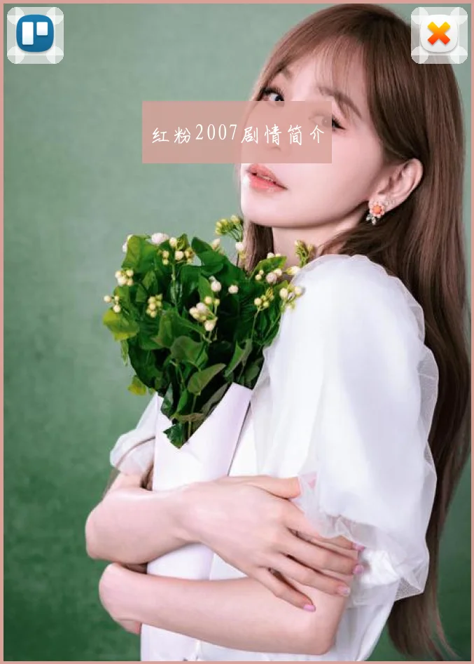 红粉2007剧情简介
