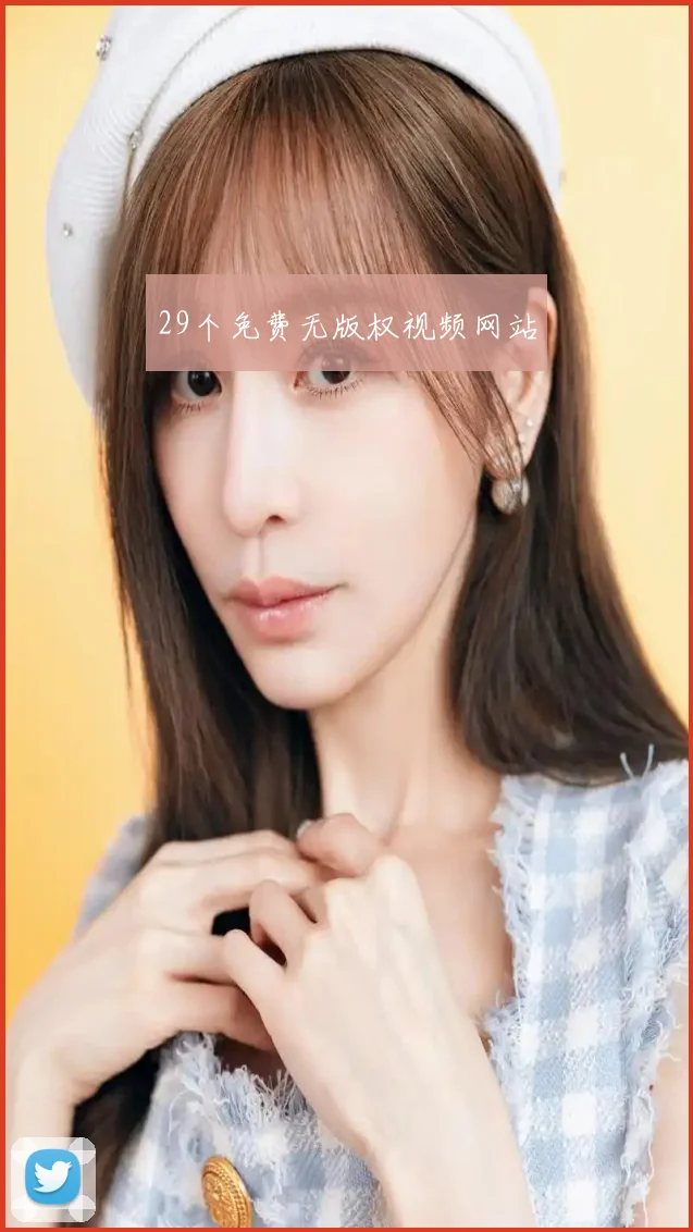 29个免费无版权视频网站