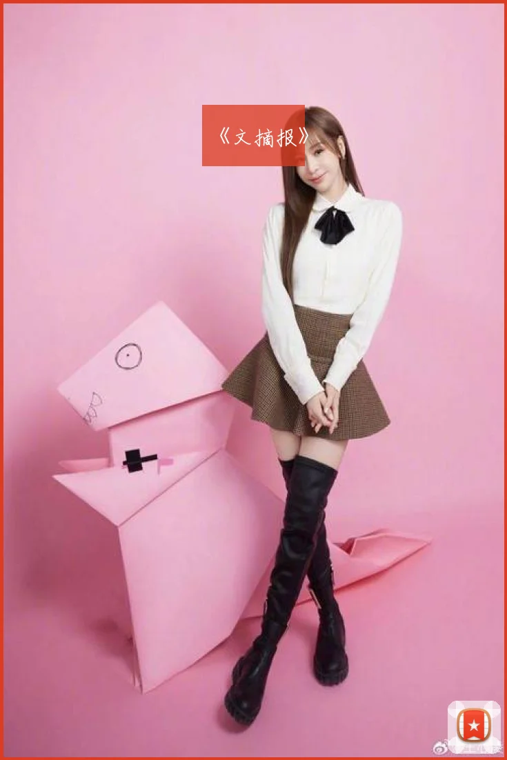 《文摘报》