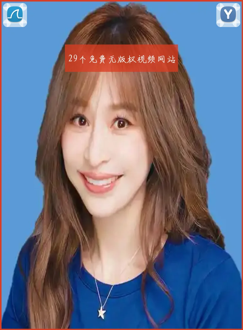 29个免费无版权视频网站