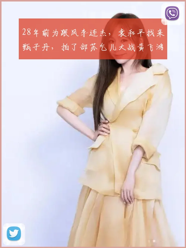 28年前为跟风李连杰，袁和平找来甄子丹，拍了部苏乞儿大战黄飞鸿